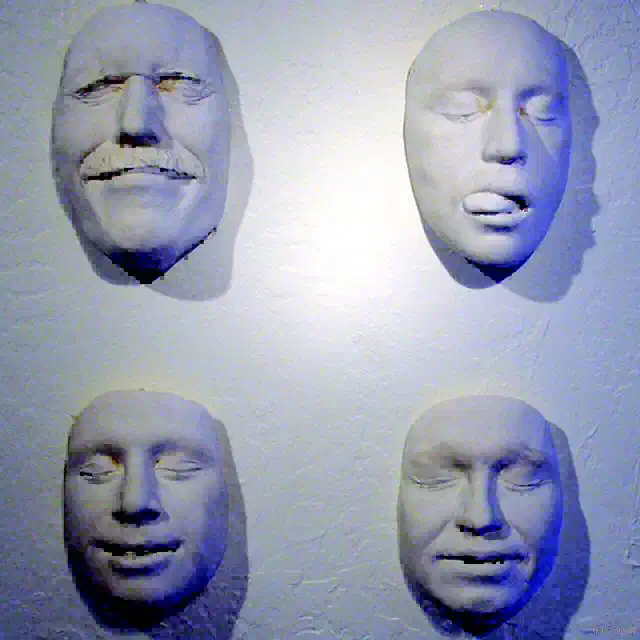 Accu-Cast™  FaceGel™