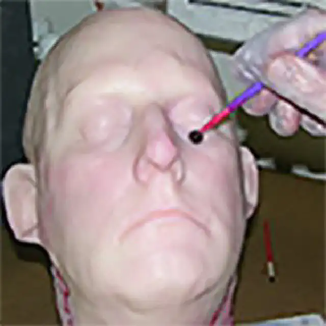 Psycho Paint™ Platinum Cure Silicone