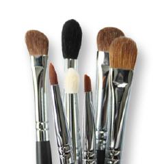 Brushes Make-Up